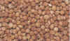 7-7ken150.jpg (11600 oCg)